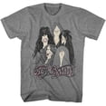 thumbnail image 1 of Aerosmith Cartoons White Adult T-Shirt, 1 of 3