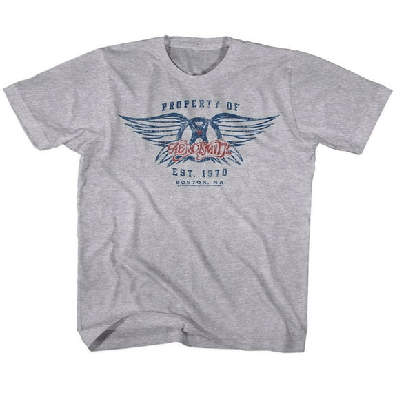 Aerosmith Est 1970 Graphite Heather Youth T-Shirt 2T