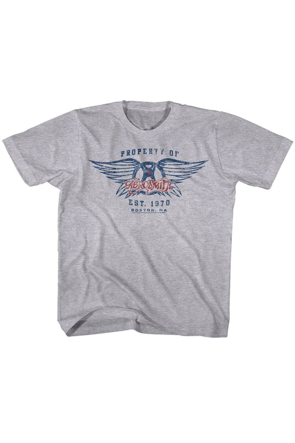 Aerosmith Est 1970 Graphite Heather Youth T-Shirt Xl