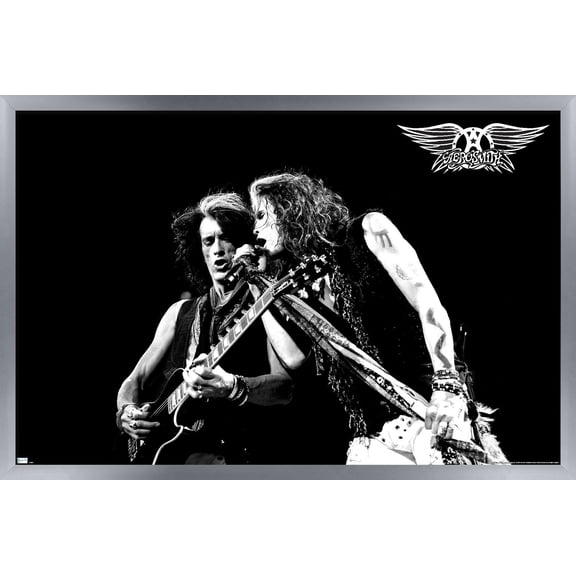 Aerosmith - Tyler and Perry Wall Poster, 22.375" x 34" Framed
