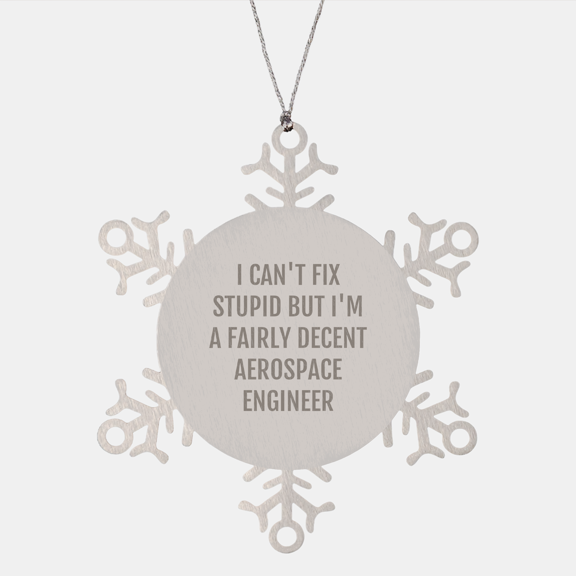 Aerospace Engineer Gift, Christmas Snowflake Ornament, 'I Can't Fix Stupid But I'm A Fairly Decent Aerospace Engineer' Quote Mug