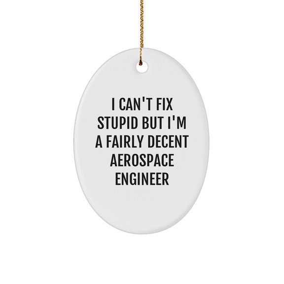 Aerospace Engineer Gifts for Christmas - Oval Ornament with Funny Quote 'I Can't Fix Stupid But I'm A Fairly Decent Aerospace Engineer' for Men or Women