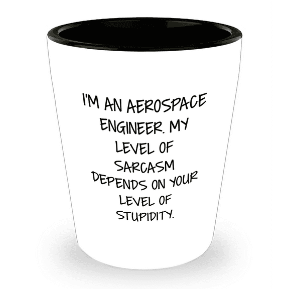 Aerospace Engineer Gifts Funny Shot Glass Birthday Unique for Men Women Friends Coworkers Family from I'm An Aerospace Engineer My Level Of Sarcasm Depends On Your Level Of Stupidity.