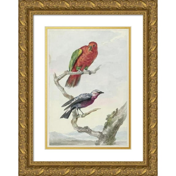 Aert Schouman 11x14 Gold Ornate Wood Frame and Double Matted Museum Art Print Titled - Two Birds, Including a Red -Green Parrot (1720 - 1792)
