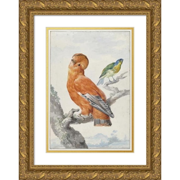 Aert Schouman 11x14 Gold Ornate Wood Frame and Double Matted Museum Art Print Titled - Two Exotic Birds (1762)