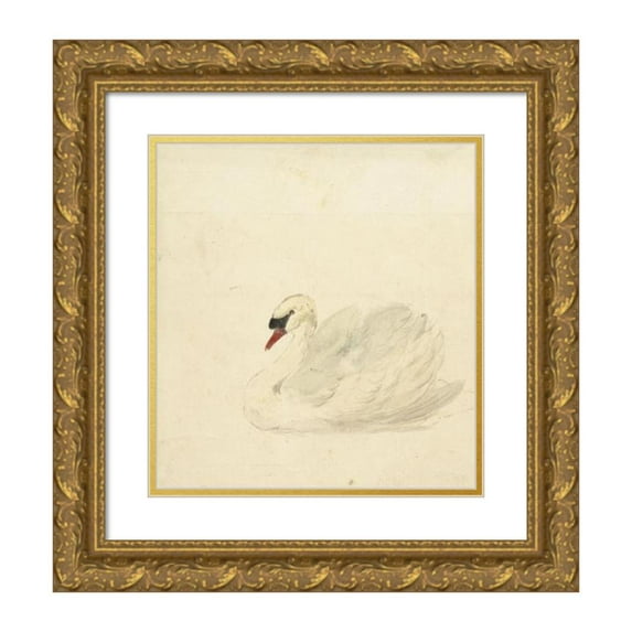 Aert Schouman 12x13 Gold Ornate Wood Frame and Double Matted Museum Art Print Titled - Knobbelzwaan (1720 - 1792)