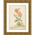 thumbnail image 1 of Aert Schouman 13x18 Gold Ornate Wood Frame and Double Matted Museum Art Print Titled - Oranje Koekoeksbloem in Landscape (C. 1790), 1 of 4