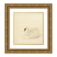 thumbnail image 1 of Aert Schouman 15x16 Gold Ornate Wood Frame and Double Matted Museum Art Print Titled - Knobbelzwaan (1720 - 1792), 1 of 4