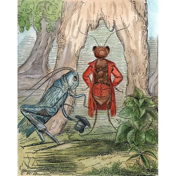 Aesop: Grasshopper & Ant. /Nthe Grasshopper And The Ant. Pen And Ink Drawing By Charles Henry Bennett (1828-1867) For Aesop'S Fable. Poster Print by (24 x 36)
