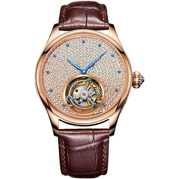 Aesop Men's Genuine Mechanical Hand-Wind Tourbillon Gypsophila Luminous Wrist Watch Business Dress Watches Leather Strap
