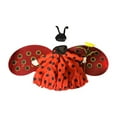 thumbnail image 1 of Aespoir Ladybug Goose Outfit Lawn Porch Goose Clothes with Wings Spring Ladybug Outdoor Patio Yard Lawn Art Decoration, 1 of 9