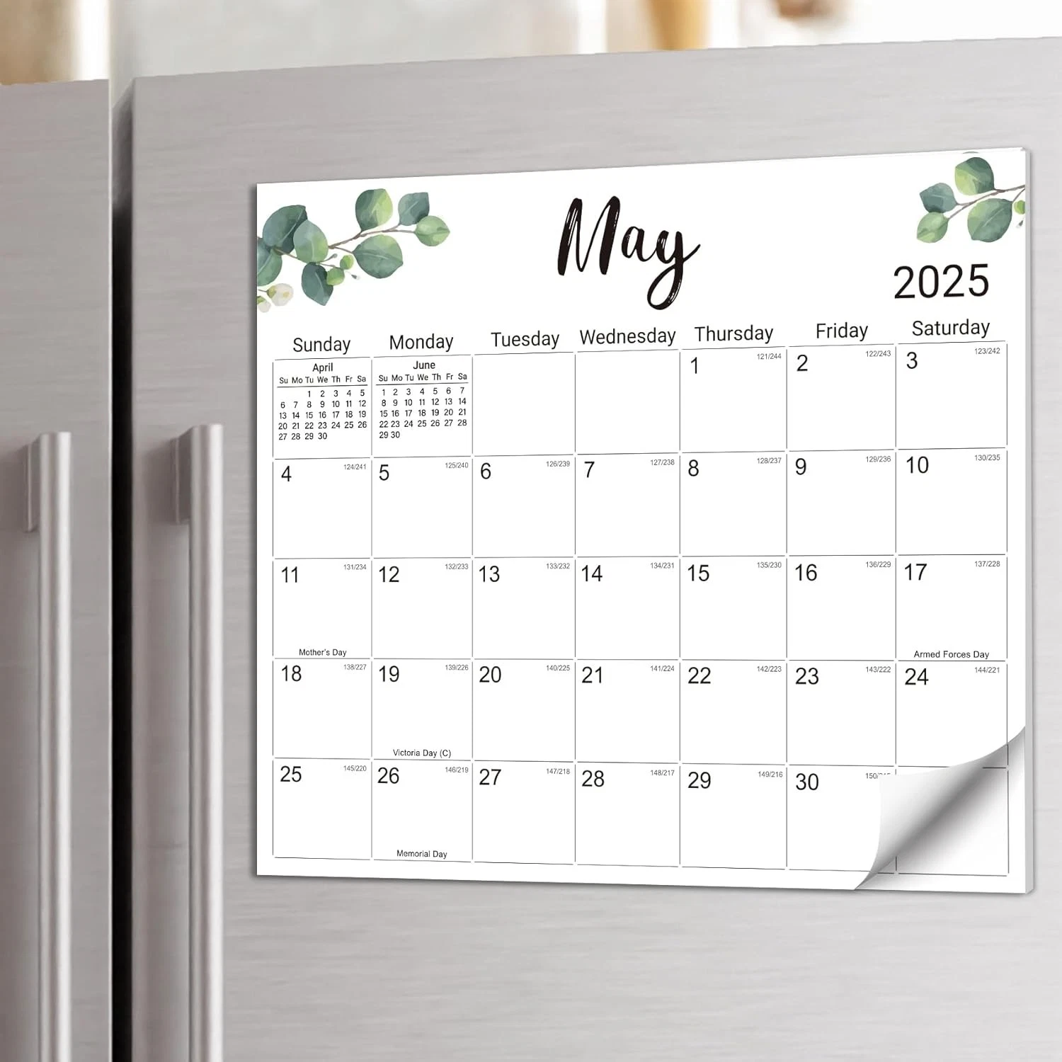 Aesthetic 20252026 Calendar For Refrigerator, Fridge Calendar