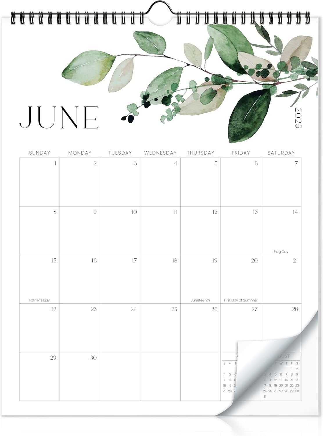 Aesthetic 20252026 Wall Calendar Runs from June 2025 Until December