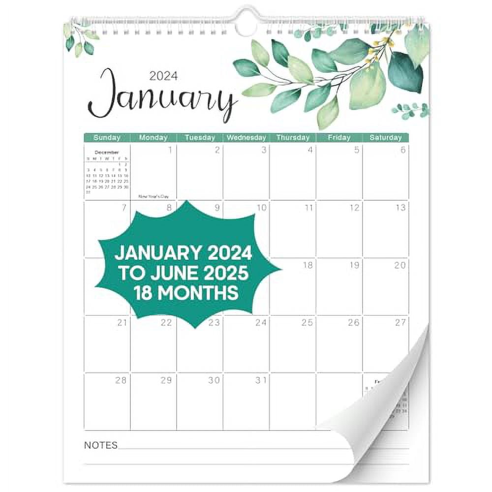 Aesthetic Wall Calendar 20252025 18 Months Calendar From January