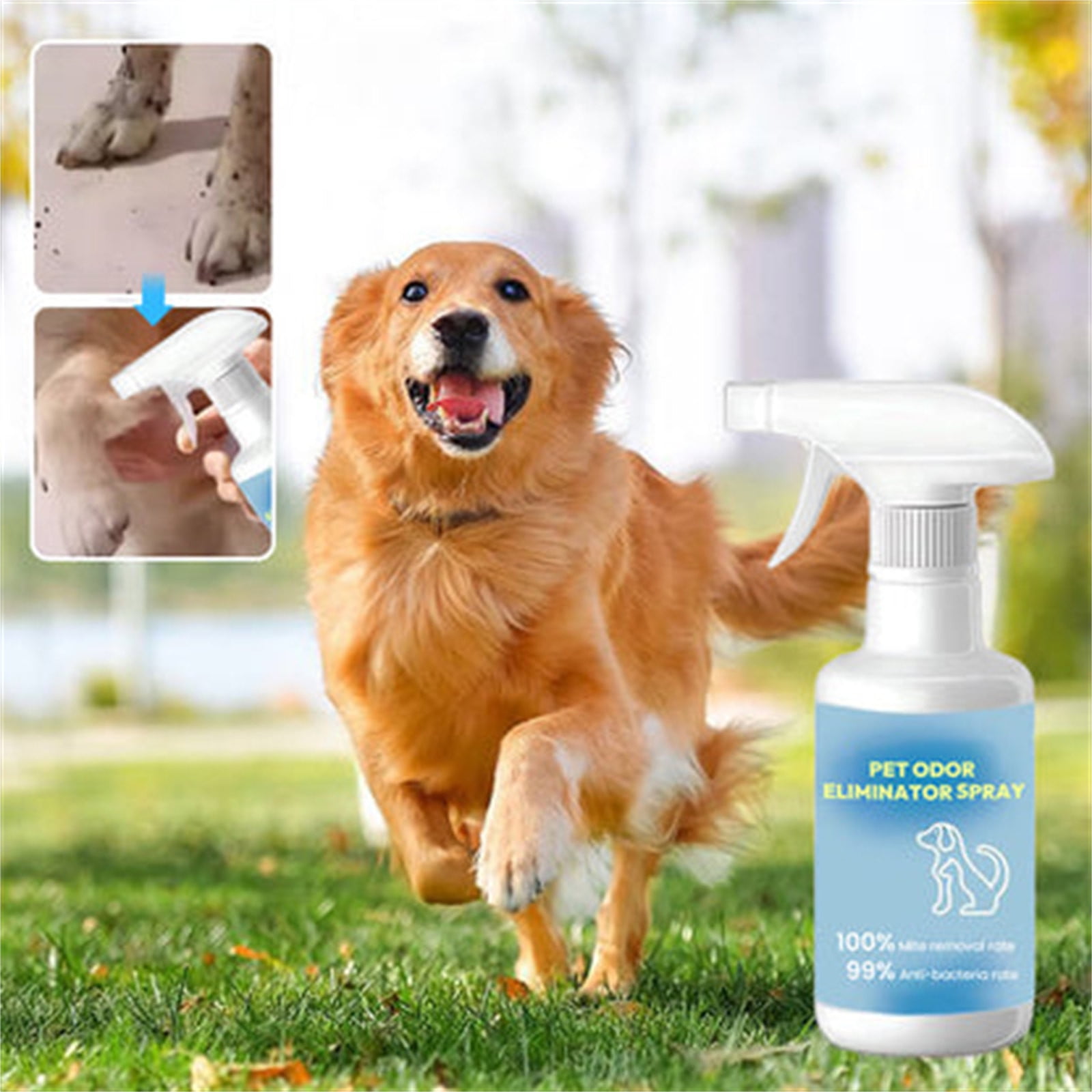 Curated visual reference: Picture Idea: Aestivo Pet Stain Remover Litter Box Freshener Odor Eliminator 280Ml