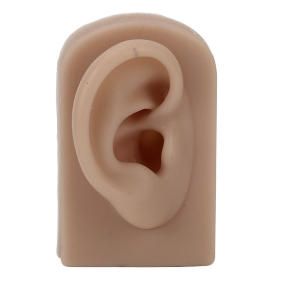 Aestri Silicone Ear Model Soft Flexible Right Ear Reusable Human Anatomy Model for Earring Placement Training And Earrings Display Brown