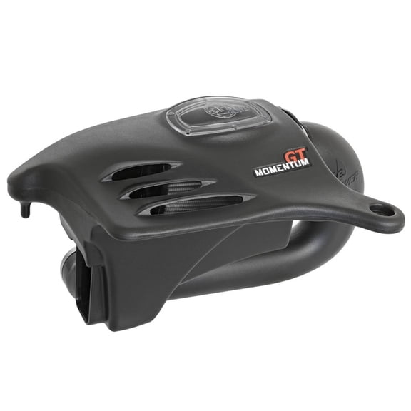 Momentum GT Cold Air Intake System w/ Pro DRY S Filter