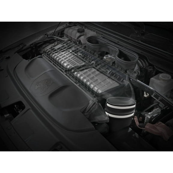 Super Stock Induction System w/ Pro DRY S Filter