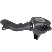 Momentum Cold Air Intake System w/ Pro DRY S Filter