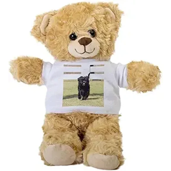 Affenpinscher Dog Teddy Bear, Dog Gift Stuffed Animal, Dog Plush Teddy Bear with Tee, Welcoming Baby Gift, Gift for Her, Gift for Newborn, Cute Birthday Christmas Basket Gift Idea