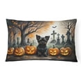 thumbnail image 1 of Affenpinscher Spooky Halloween Fabric Decorative Pillow, 1 of 4