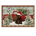 Affenpinschers Christmas Doormats Funny Gifts for Dogs Lovers Dog