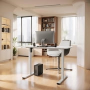 FitStand 48"x24" Electric Standing Desk with Whole-Piece Desktop, Height Adjustable Sit Stand Desk, 88 lbs Capacity, Anti-Collision System, 4 Memory Presets, White