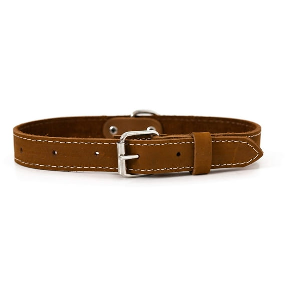 Affordable European Luxury Soft Leather Adjustable Buckle Dog Collar Made in USA