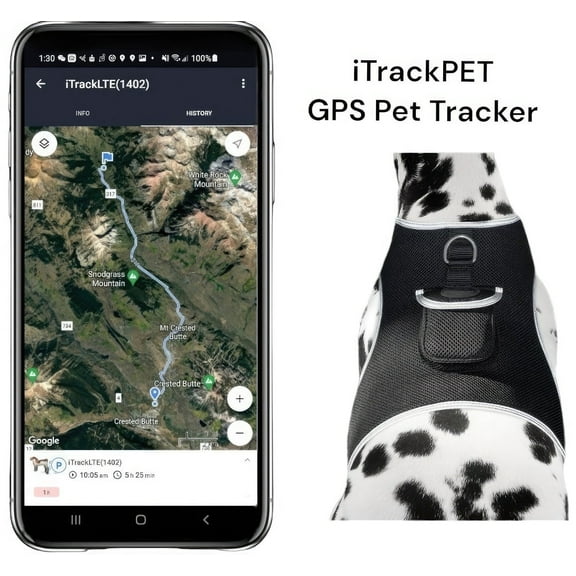 Affordable Waterproof GPS GSM Pet Tracker with Precise Place Tracking Size:L