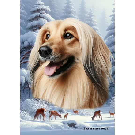 Afghan - Best of Breed Winter Wonderland Garden Flag 12" x 17"