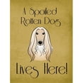 thumbnail image 1 of Afghan Hound Spoiled Dog Lives Here Garden Flag, 1 of 2