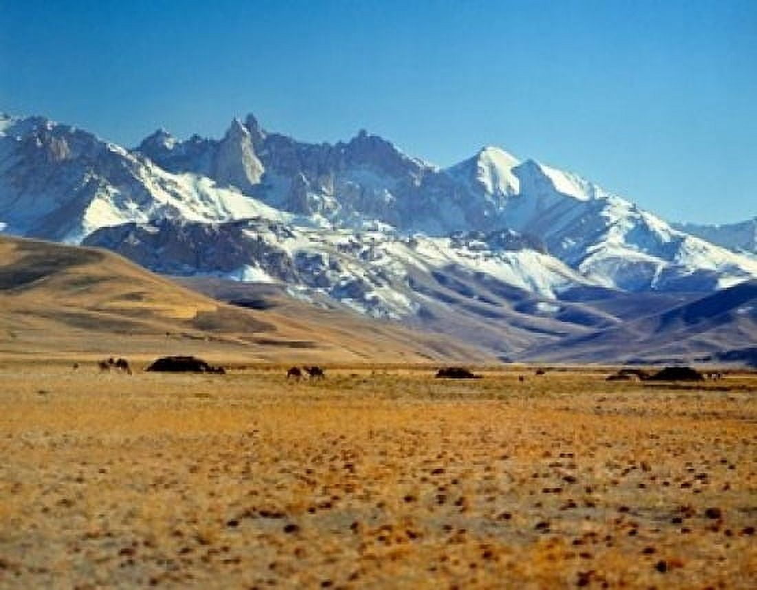 Afghanistan Bamian Valley Mountains Kuchi camp Canvas Art - Ric Ergenbright DanitaDelimont (16 x 20)