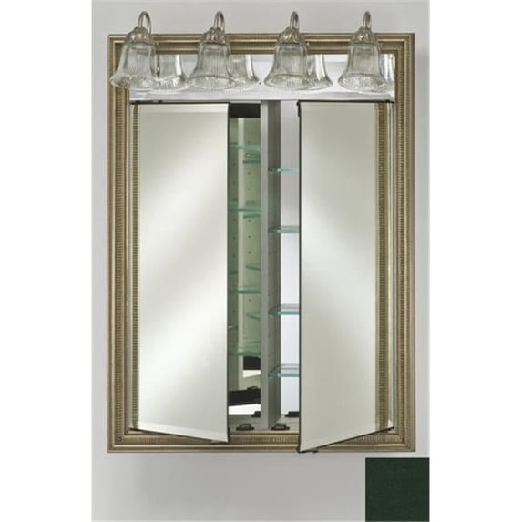 Afina Corporation DD-LT2434RCOLGN 24 in.x 34 in.Recessed Double Door Cabinet with Traditional Lights - Colorgrain Green