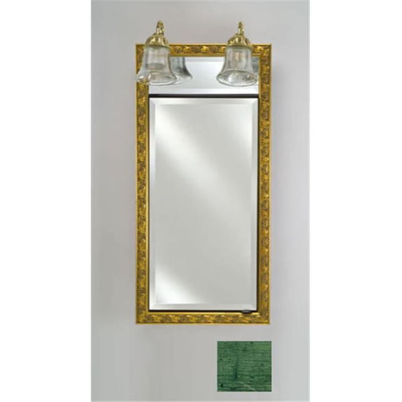 Afina Corporation SD-LT2030RRUSGN 20 in.x 30 in.Recessed Single Door Cabinet with Traditional Lights - Rustic Wood Green