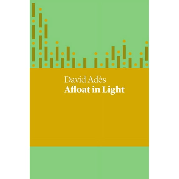 Afloat in Light (Paperback)