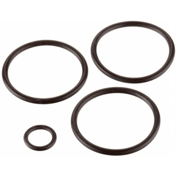 Afras Industries O-Ring Set for Piston Brass, 2 in.