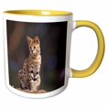 thumbnail image 1 of 3drose, Africa, African Savannah. Serval Captive - Na02 Swe0026 - Stuart Westmorland, 11oz Two-tone Yellow Mug, 1 of 6