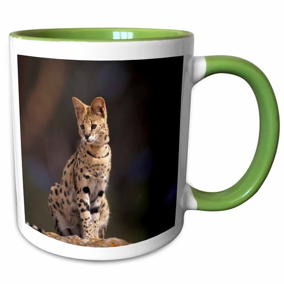 3drose, Africa, African Savannah. Serval Captive - Na02 Swe0026 - Stuart Westmorland, 15oz Two-tone Green Mug