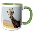 thumbnail image 1 of 3drose, Africa, Botswana, Chobe Np. Oxpecker Bird, 15oz Two-tone Green Mug, 1 of 6
