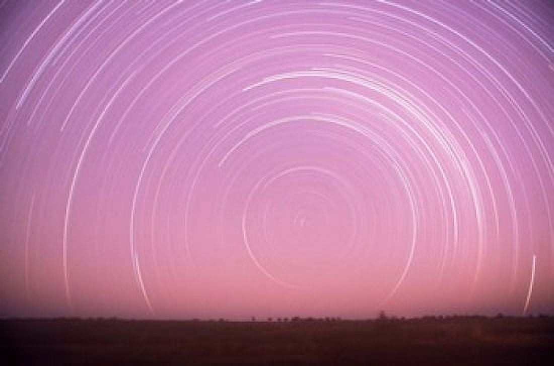 Africa Botswana Linyanti Swamps Star trails Canvas Art - Stuart Westmorland DanitaDelimont (36 x 24)
