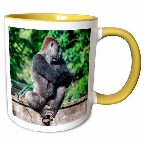 3drose, Africa, Cameroon, Limbe. Cross River Gorilla at Limbe Wildlife Center., 15oz Two-tone Yellow Mug