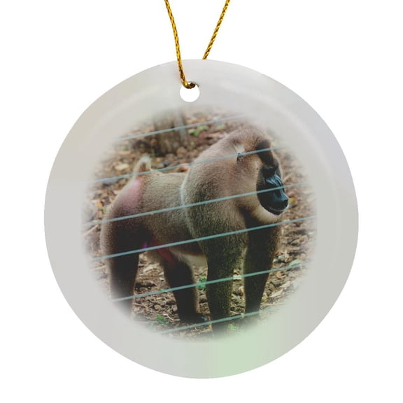 3drose, Africa, Cameroon, Limbe. Drill Monkey at Limbe Wildlife Center., Circle Porcelain Ornament