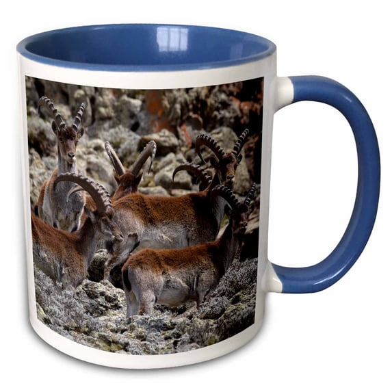 3drose, Africa, Ethiopia, Amhara, Simien Mountains Np. Group of Walia Ibex., 11oz Two-tone Blue Mug