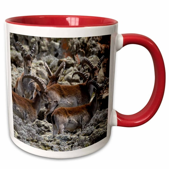 3drose, Africa, Ethiopia, Amhara, Simien Mountains Np. Group of Walia Ibex., 15oz Two-tone Red Mug