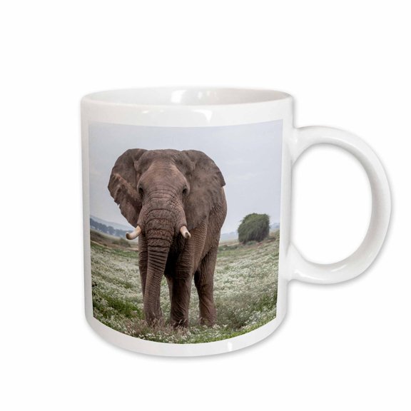 3drose, Africa, Kenya, Amboseli National Park. Close Up of Elephant., 15oz Mug