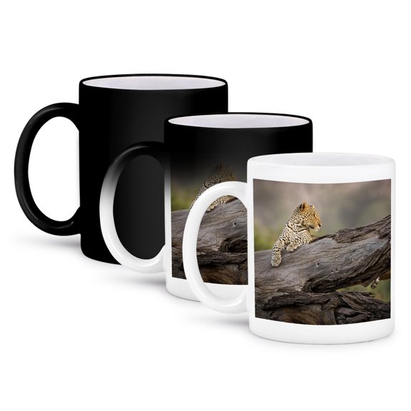 Africa, Kenya. Leopard Resting On Dead Tree., 11oz Magic Transforming Mug