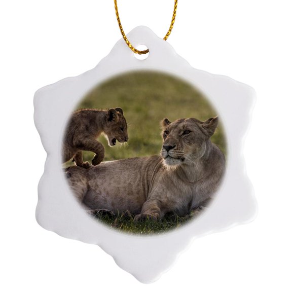 3drose, Africa, Kenya, Maasai Mara. Lion Cub Playing with Lioness., 3 inch Snowflake Porcelain Ornament