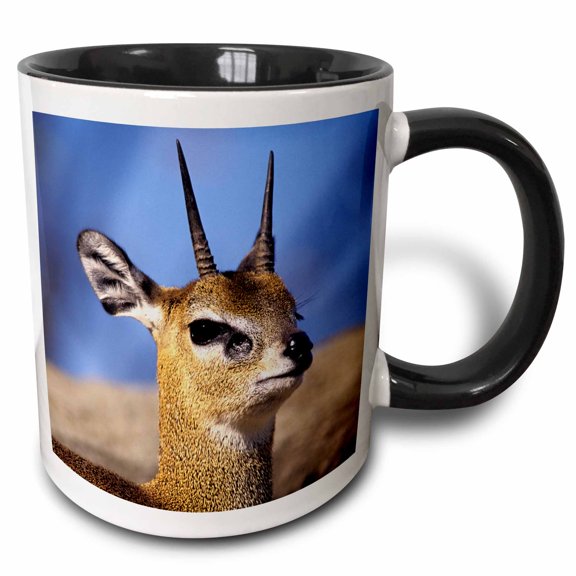 3drose, Africa, Klipspringer Antelope on Rocky Outcropping - Na02 Aje0277 - Adam Jones, 11oz Two-tone Black Mug