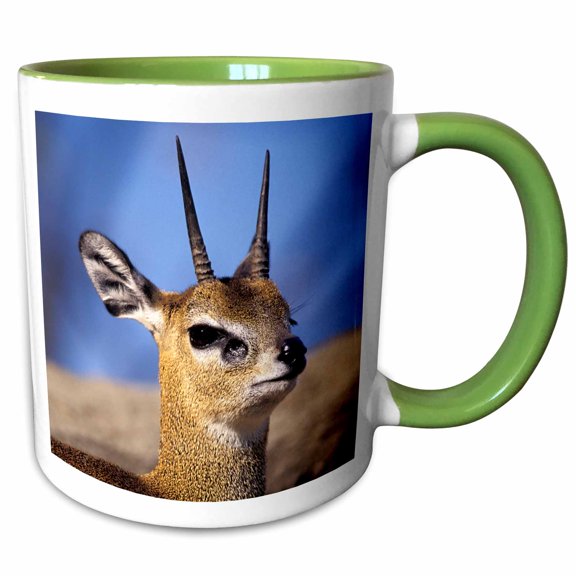 3drose, Africa, Klipspringer Antelope on Rocky Outcropping - Na02 Aje0277 - Adam Jones, 11oz Two-tone Green Mug