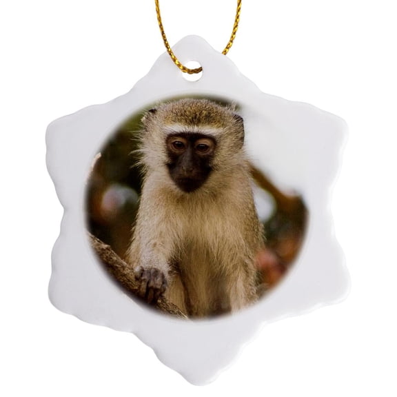 3drose, Africa. Malawi. Lengwe National Park. Vervet Monkey-af25 Rsw0017 - Roy Schwarz, 3 inch Snowflake Porcelain Ornament